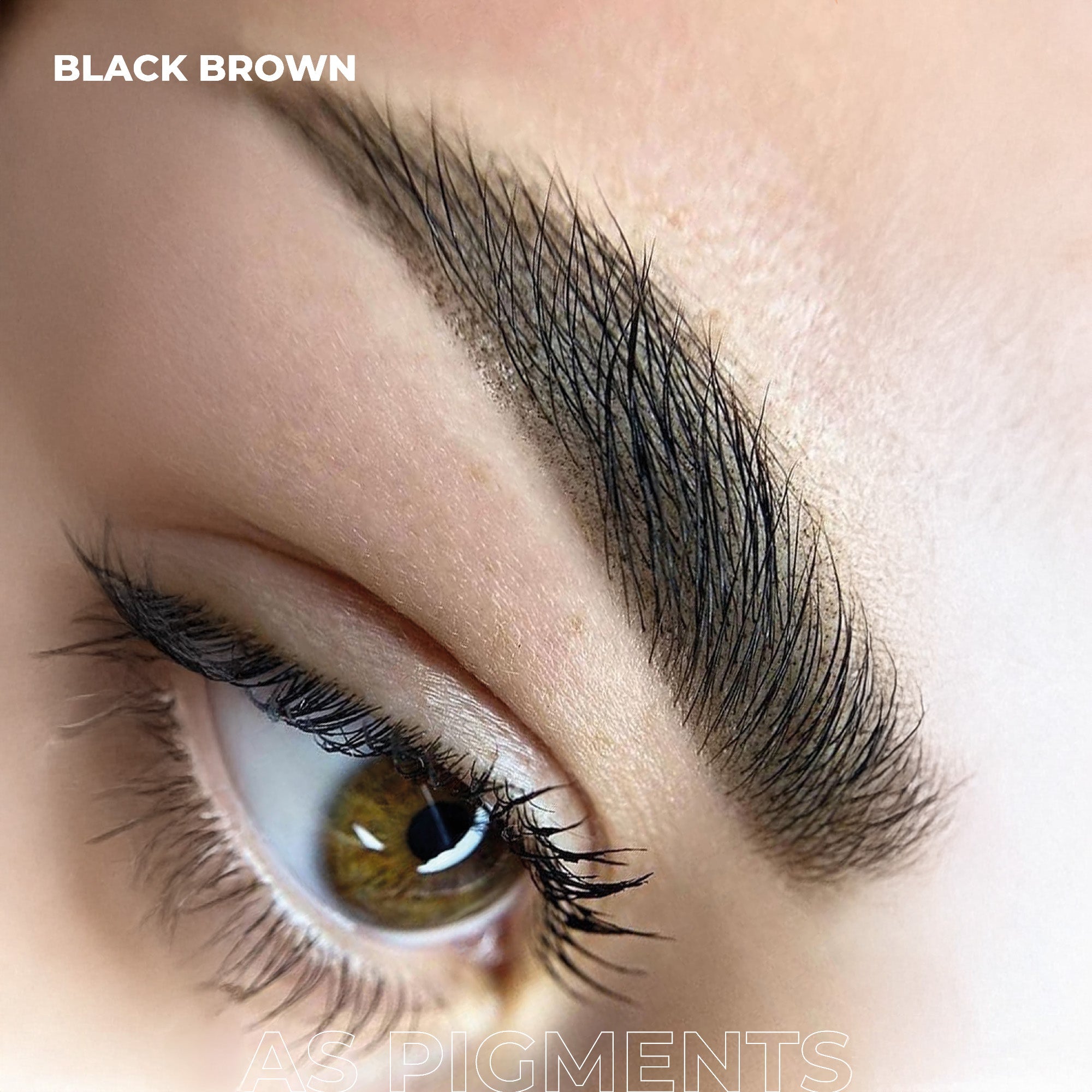 AS Pigments - BLACK BROWN Brow Pigment - mrpmu