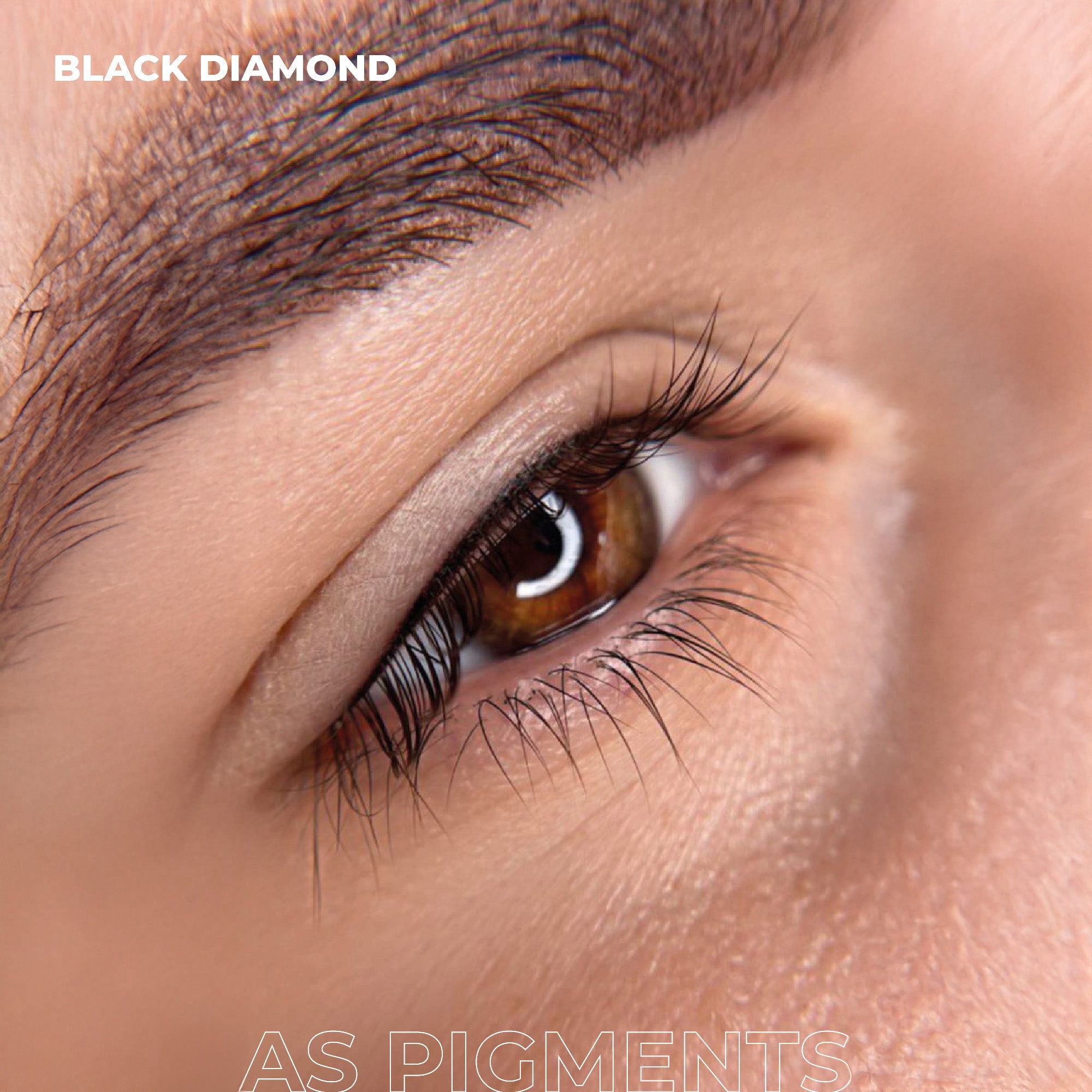 AS Pigments - BLACK DIAMOND Eyelid Pigment - mrpmu