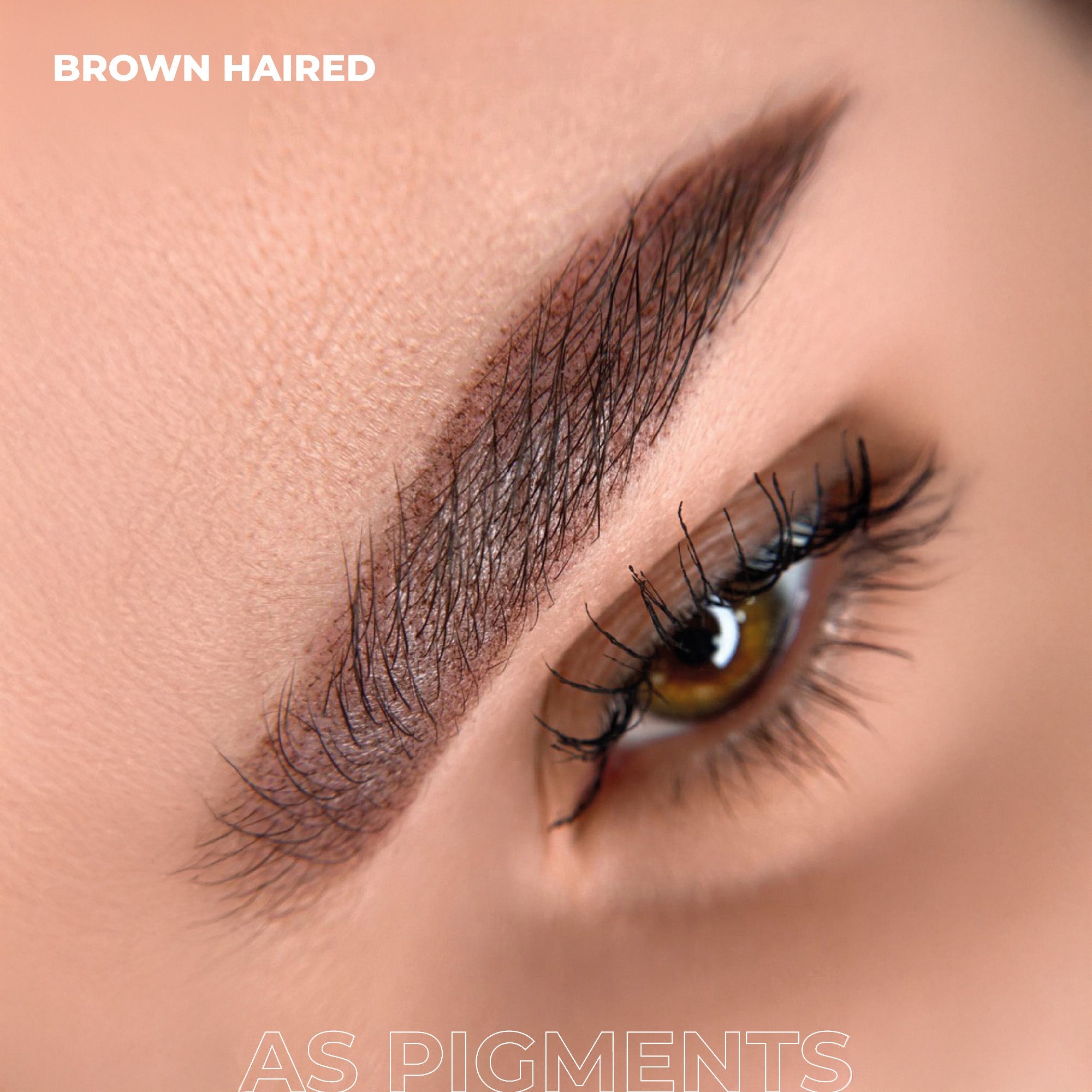 AS Pigments - BROWN HAIRED Brow Pigment - mrpmu