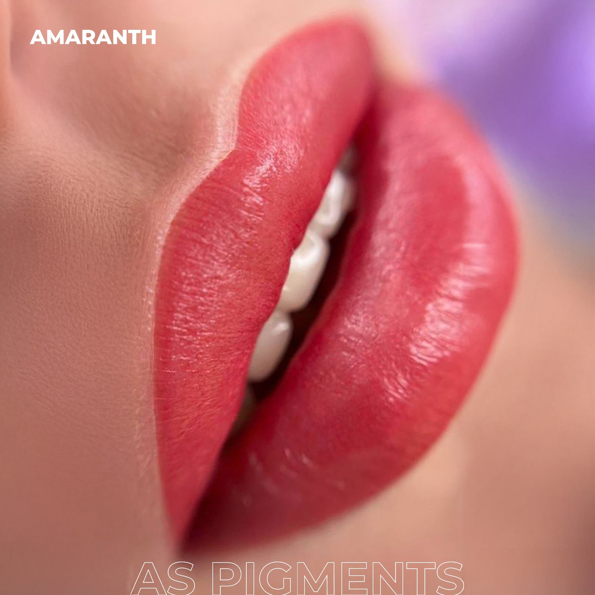 AS Pigments - Concentrate AMARANTH Lip Pigment - mrpmu