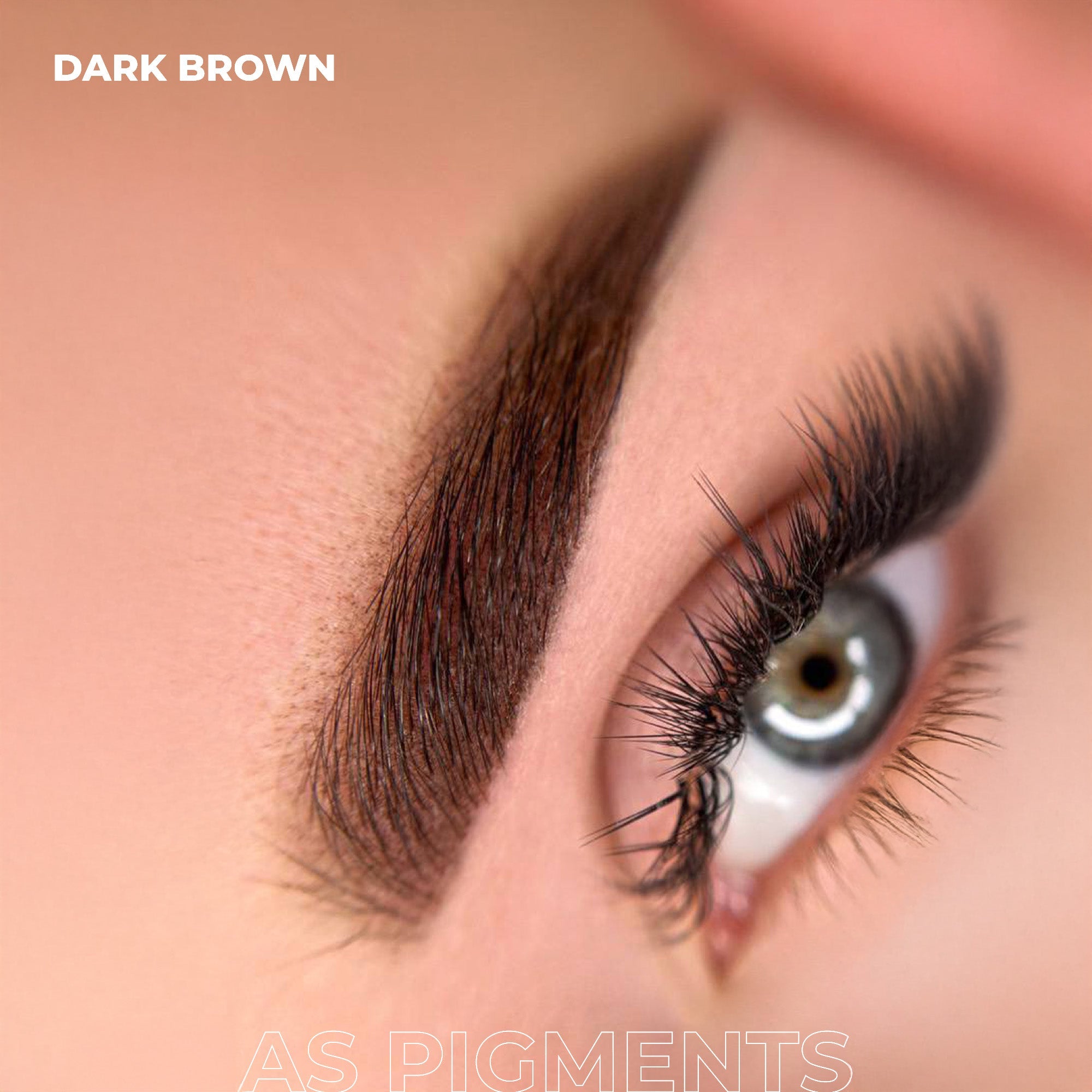 AS Pigments - DARK BROWN Brow Pigment - mrpmu