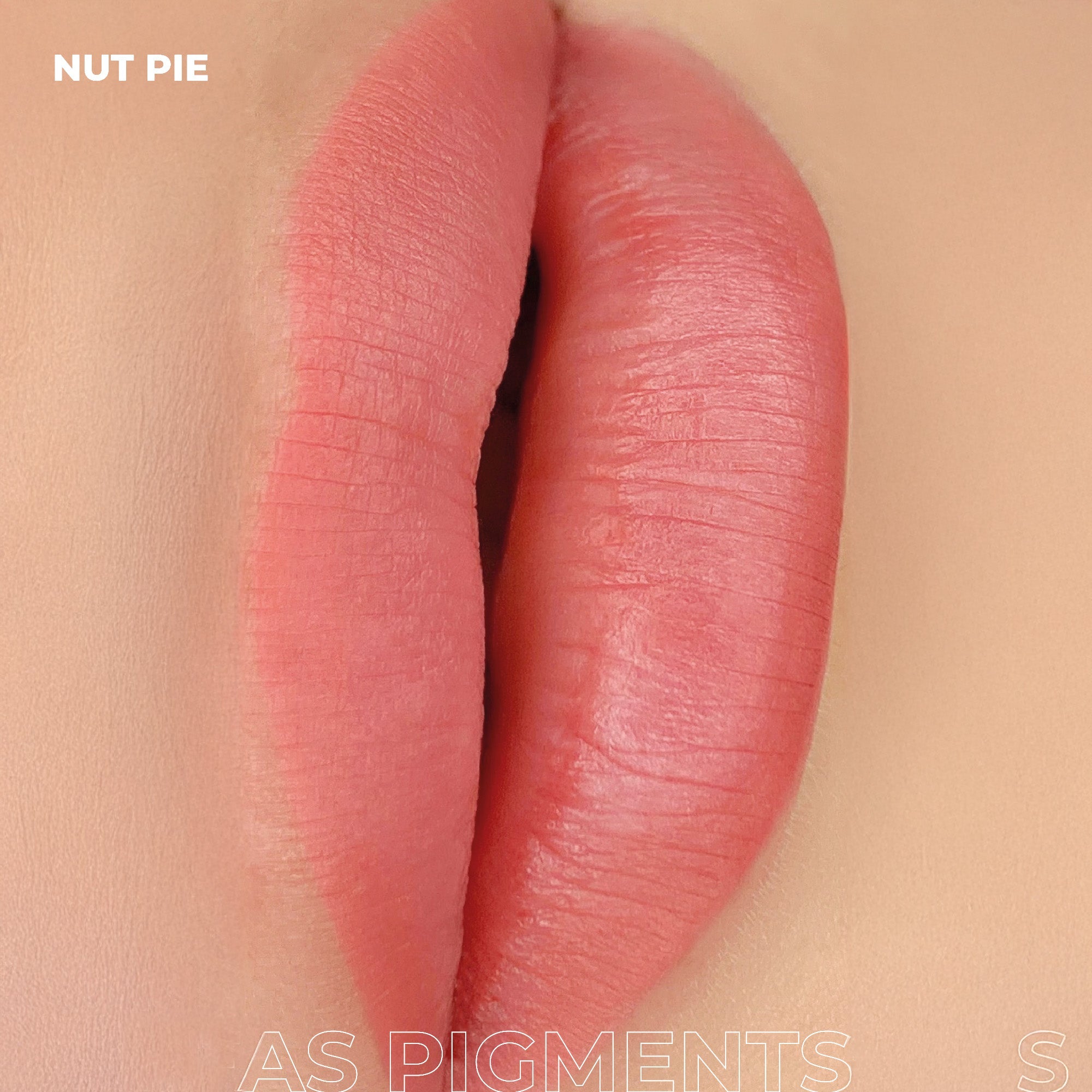 AS Pigments - NUT PIE Lip Pigment - mrpmu