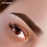 AS Pigments - OPIUM COLORS B3 HORSE brow pigment - mrpmu