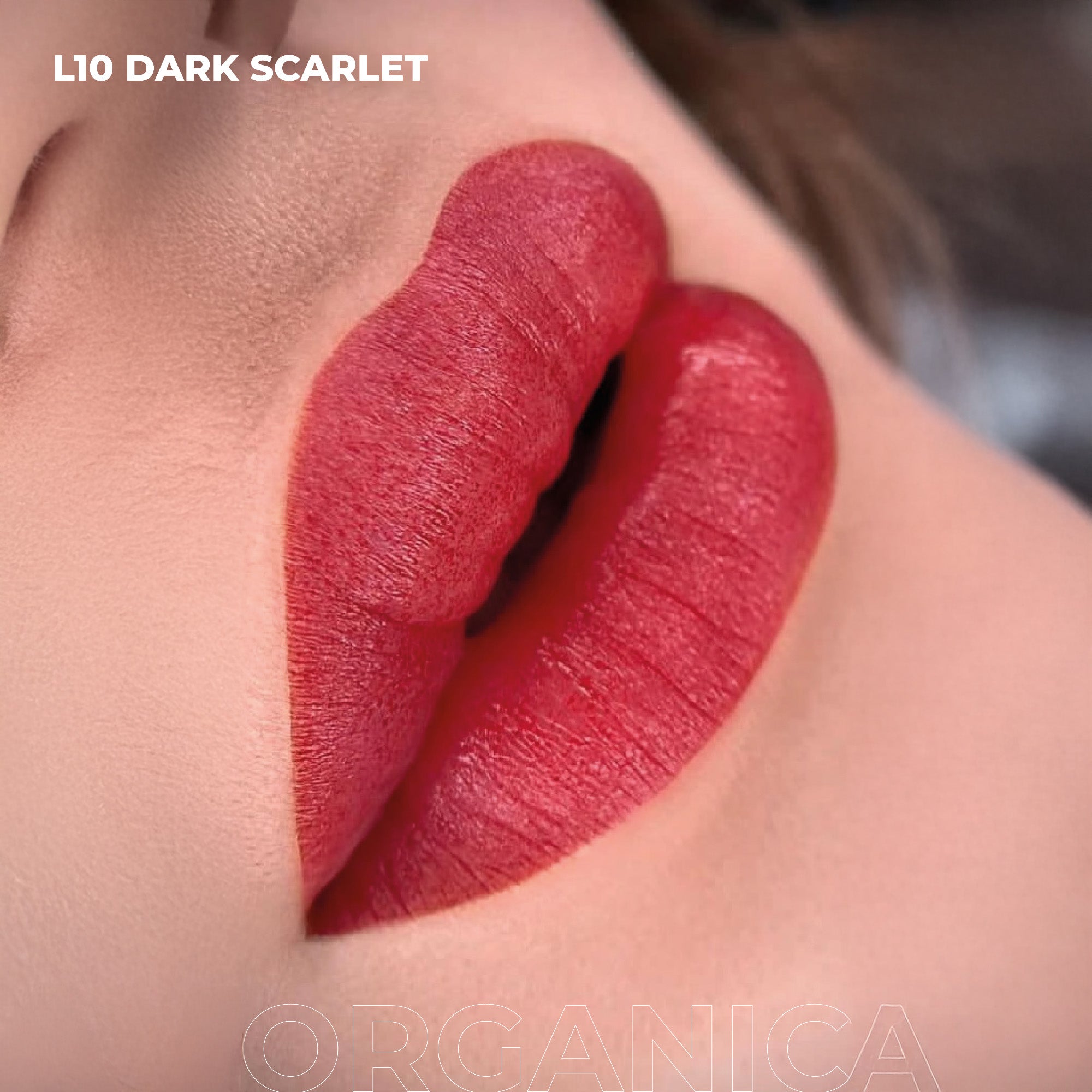 AS Pigments - OPIUM COLORS L10 DARK SCARLET ORGANIC lip pigment - mrpmu