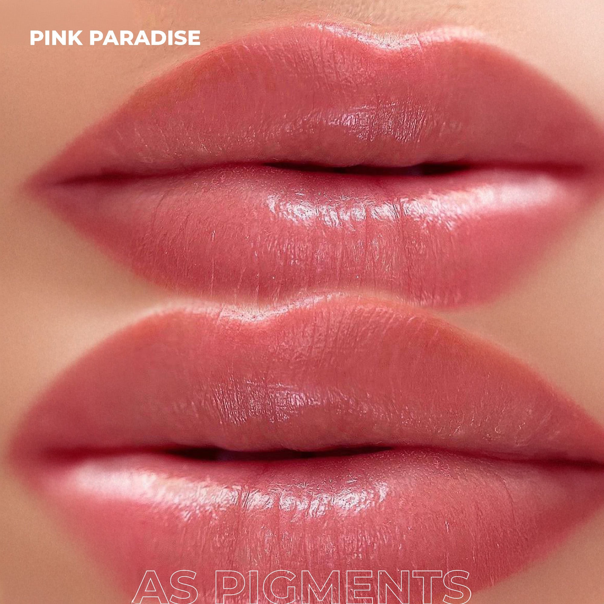 AS Pigments - PINK PARADISE Lip Pigment - mrpmu