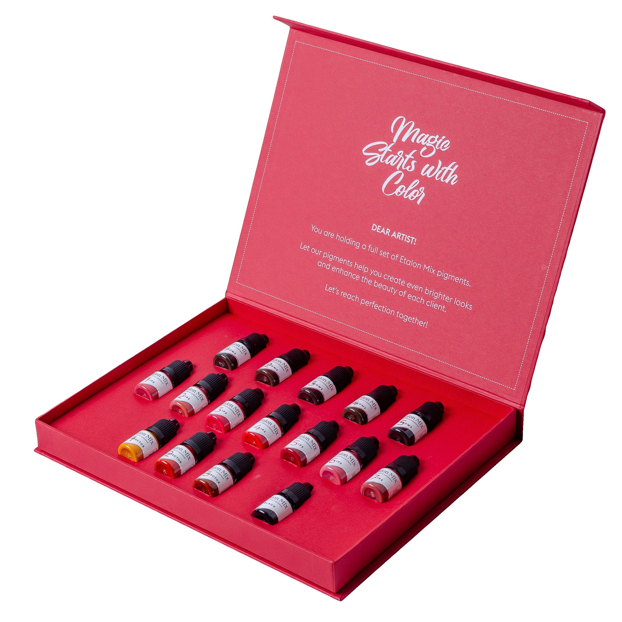 Etalon Mix - Large Set of Pigments - Mr.PMU