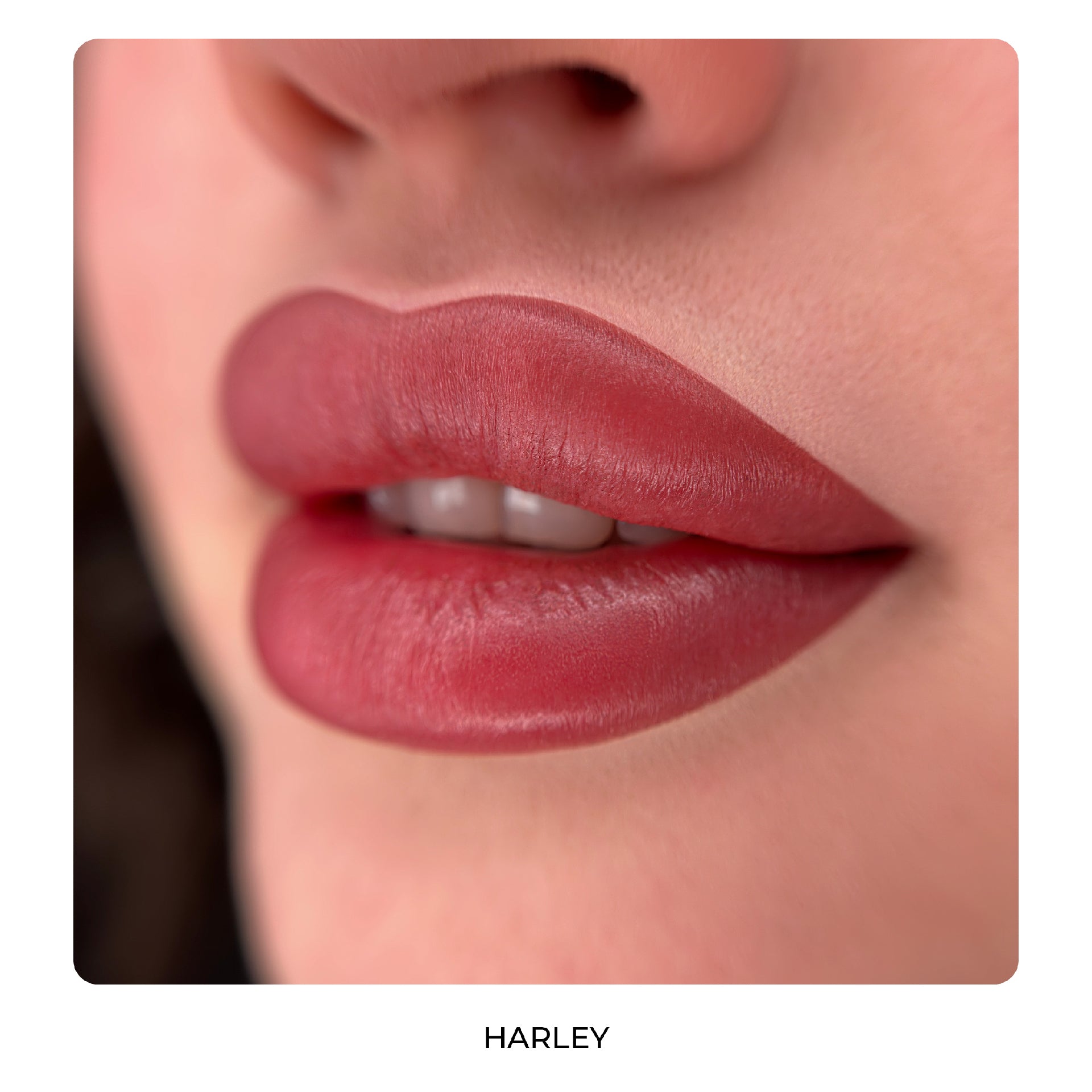 AS Pigments - HARLEY (HARLEY QUINN) 6 ml - mrpmu