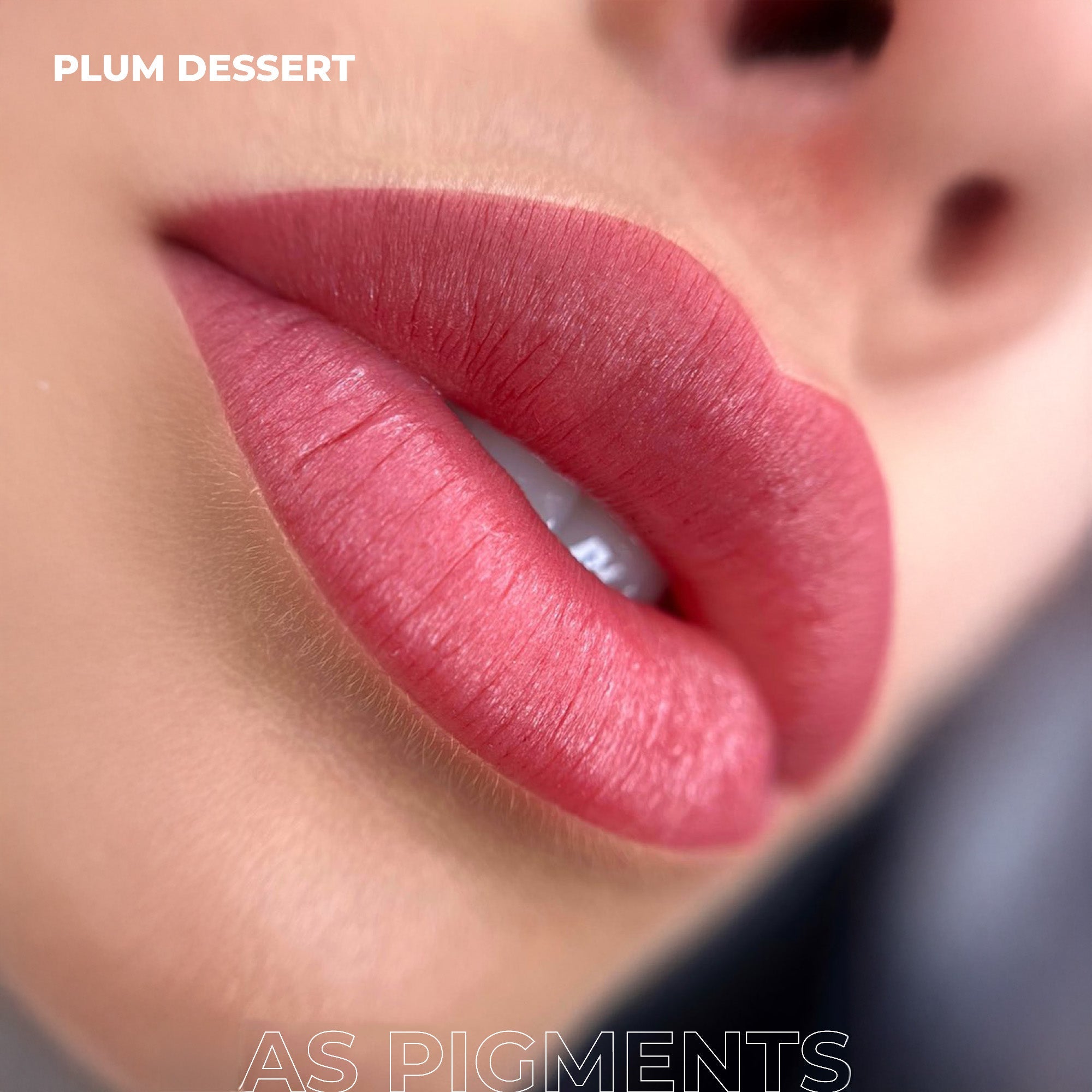 AS Pigments - Pigmento de Labios PLUM DESSERT - mrpmu