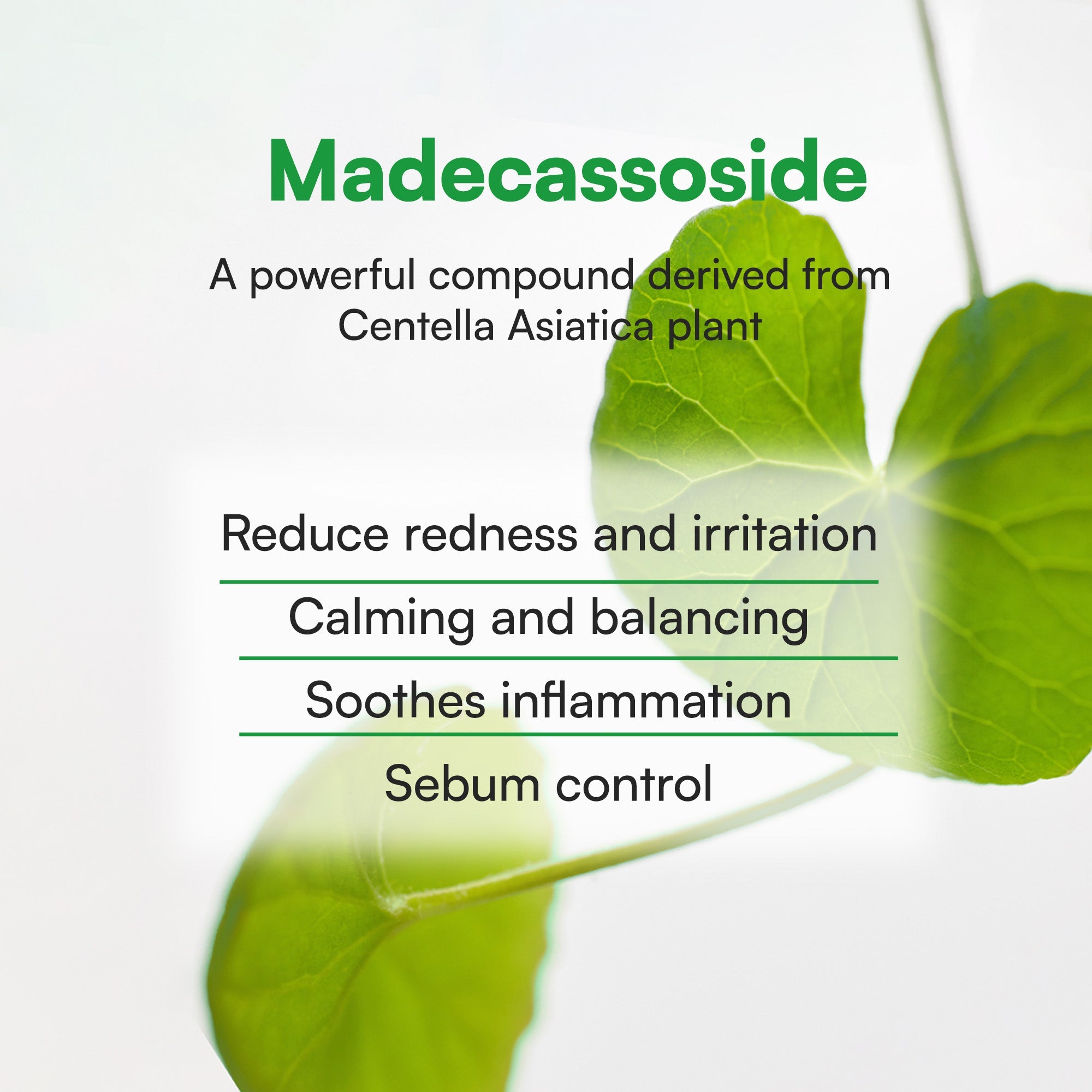 Face Republic - Calming Tea Tree Madecassoside Serum 45ml - Mr.PMU